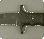 click to see a larger image